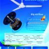 BLCD Motor ceiling fan 2