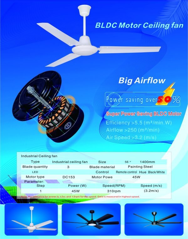 BLCD Motor ceiling fan 2