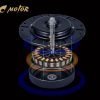blcd motor